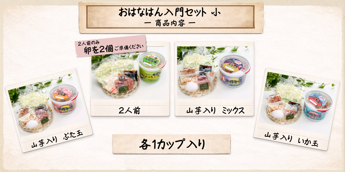 送料無料・生タイプ】 お好み焼きセット おはなはん入門セット 小